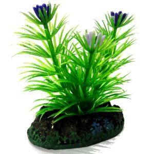 AQUATIC PLANTS SS - 5 