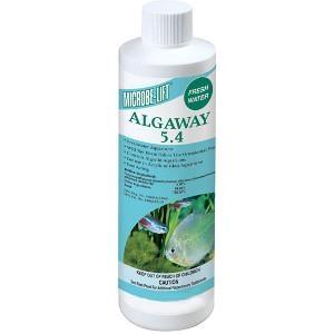 ALGAWAY 5.4 ALGAE CONTROL - 8oz 