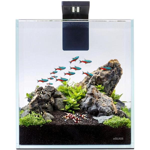 AQUARIUM SET NANO 10L 