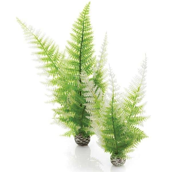 AQUATIC WINTER FERN SET 2 