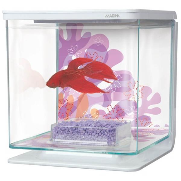 BETTA TANK - FLOWER