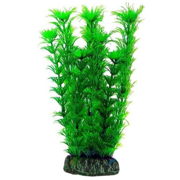 AQUATIC PLANTS LARGE - 6