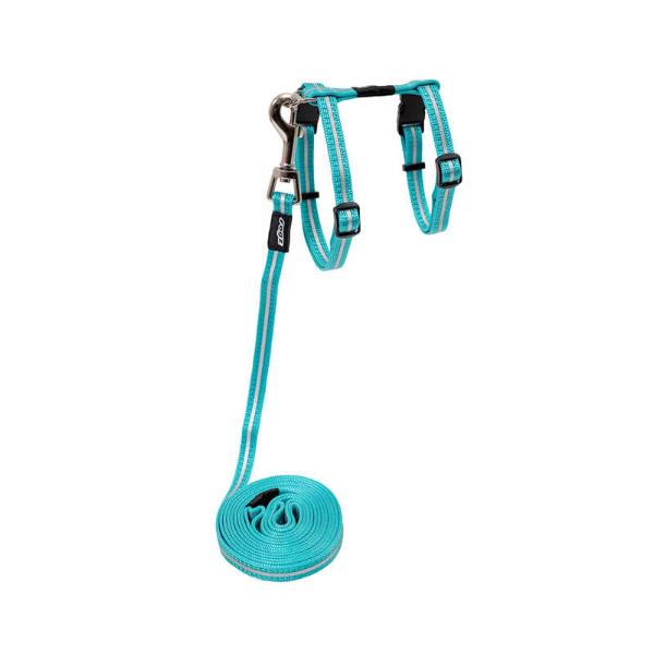 ALLEYCAT HARNESS AND LEAD-TEAL (SMALL) (24-40cm) 1.8m 