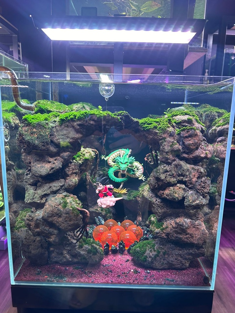 AQUASCAPE - DRAGON BALL