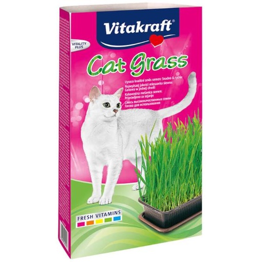 CAT GRASS 