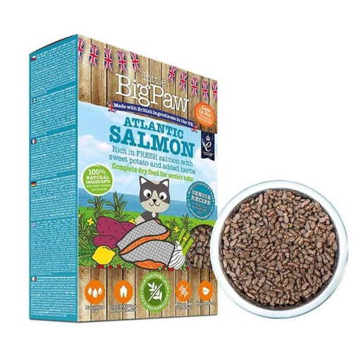 ATLANTIC SALMON(GRAIN FREE) SENIOR CAT 350g 