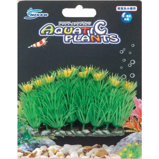 AQUATIC PLANTS FOREGROUND SMALL - 3 