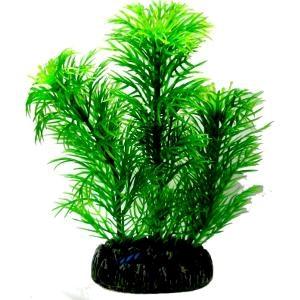 AQUATIC PLANTS MEDIUM - 3 