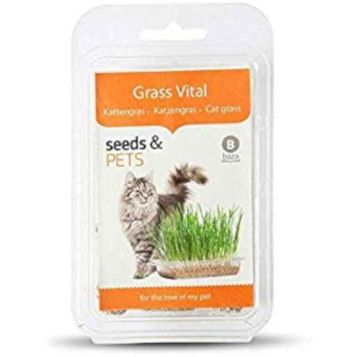 CAT GRASS KIT VITAL 