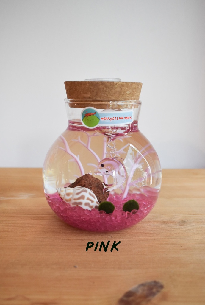 TERRARIUM - PINK