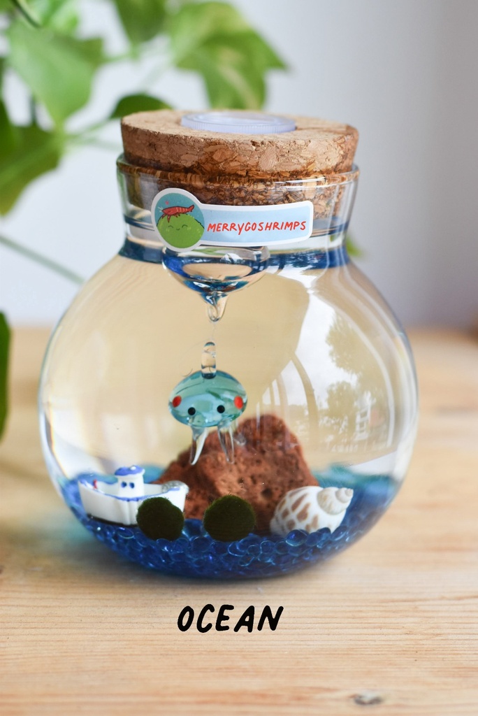 TERRARIUM - OCEAN