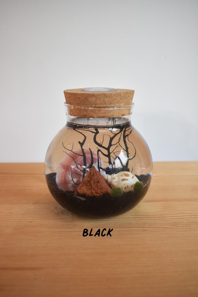 TERRARIUM - BLACK