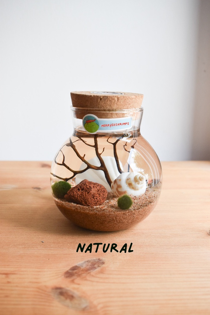 TERRARIUM - NATURAL
