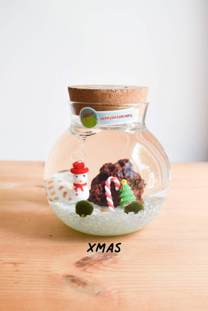 TERRARIUM - CHRISTMAS