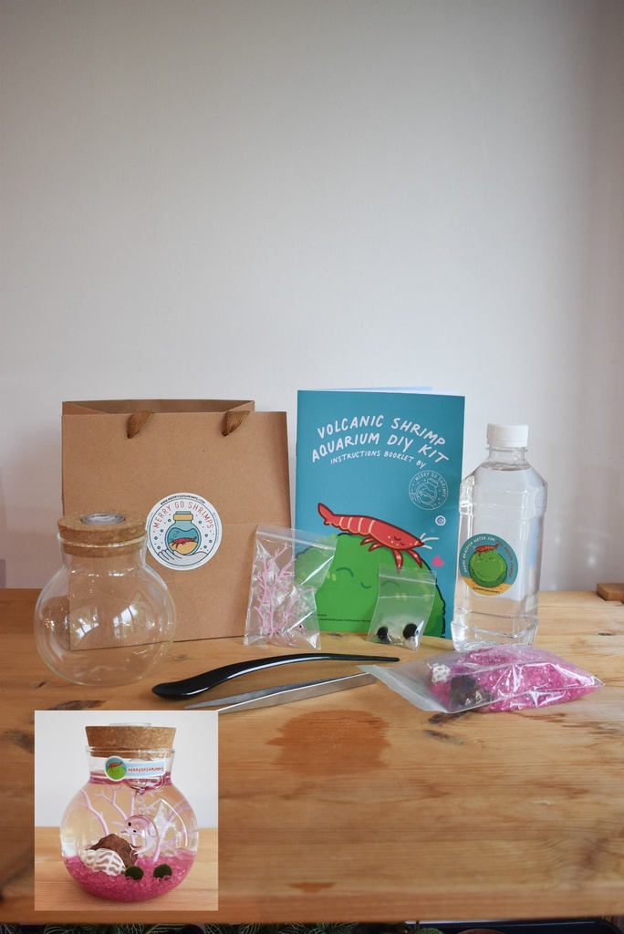TERRARIUM - PINK (DIY KIT)