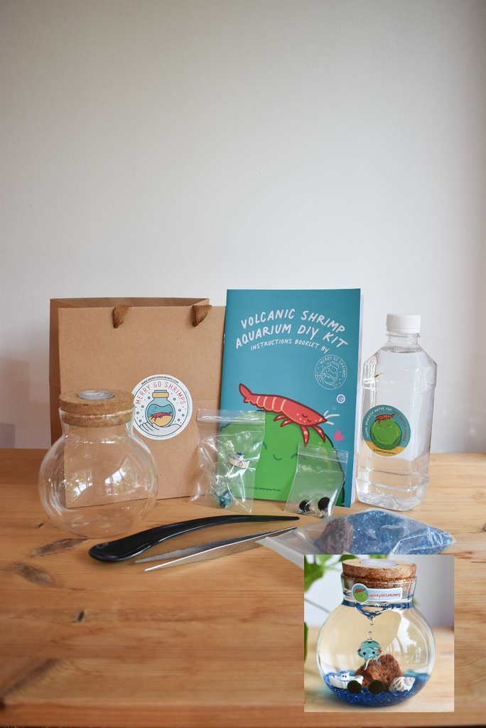 TERRARIUM - OCEAN (DIY KIT)