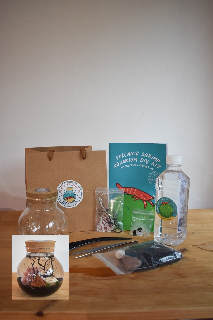 TERRARIUM - BLACK (DIY KIT)