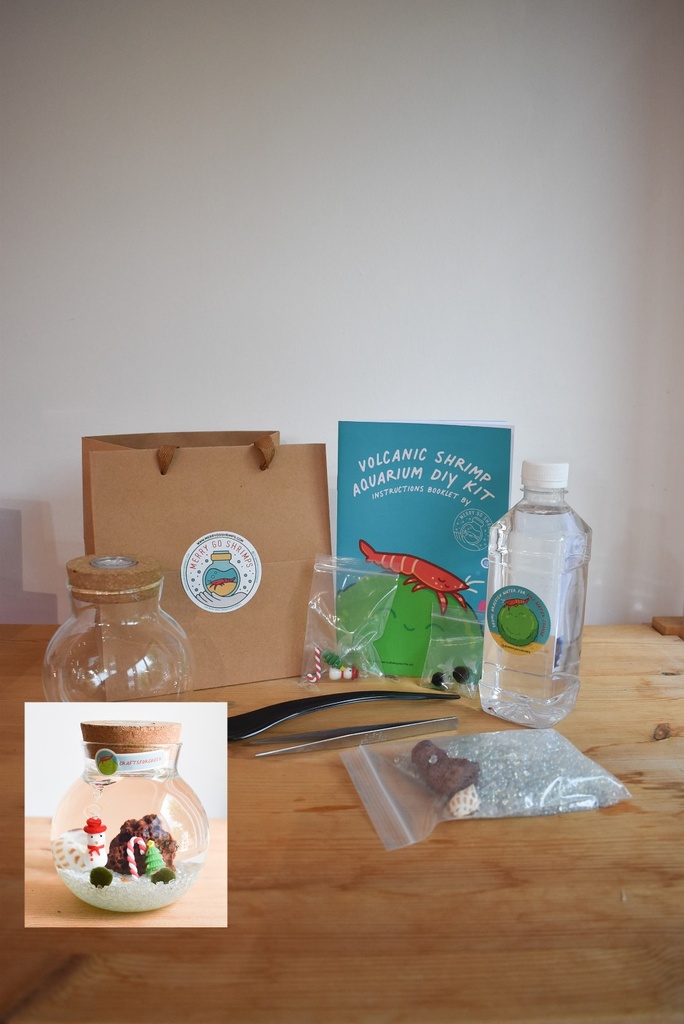 TERRARIUM - CHRISTMAS (DIY KIT)