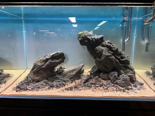 AQUASCAPE - GODZILLA X KONG