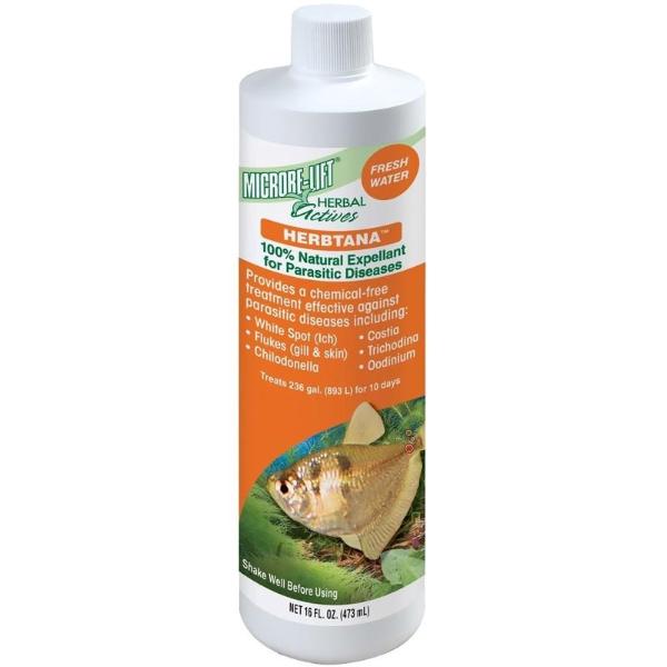 HERBTANA - 8oz